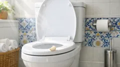 Pôr alho na sanita resulta mesmo? O que é mito e o que ajuda nos maus odores