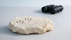 Descobertas nos Alpes: milhares de pegadas de dinossauros surgem na Valle di Fraele