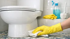 Como limpar a sanita a sério e reduzir germes e maus cheiros no WC