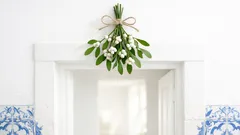 Visco no Natal: o lugar certo para pendurar e atrair sorte à entrada de casa