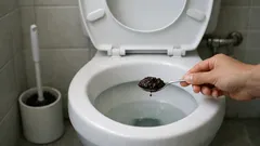 Borra de café na sanita: o truque que parece limpar, mas pode entupir a canalização