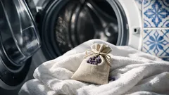 Saquinhos de lavanda: o truque simples para tirar o cheiro a mofo da roupa e do armário